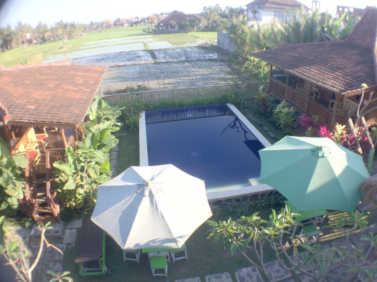 Green Paddy Hostel & Villa Ubud  Luaran gambar